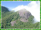 pedraredonda