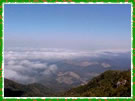 picodoselado.jpgB