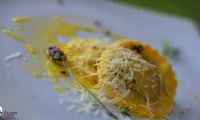 Festival gastronomico monte verde 2015 6 edicao 13
